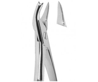 Extracting Forceps English pattern